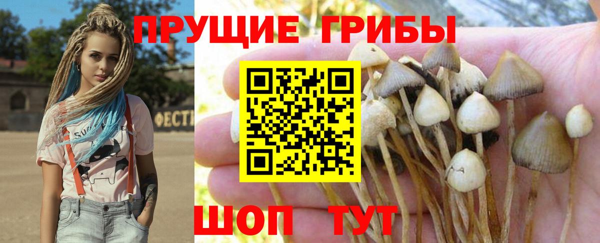 Галлюциногенные грибы Magic Shrooms Пенза